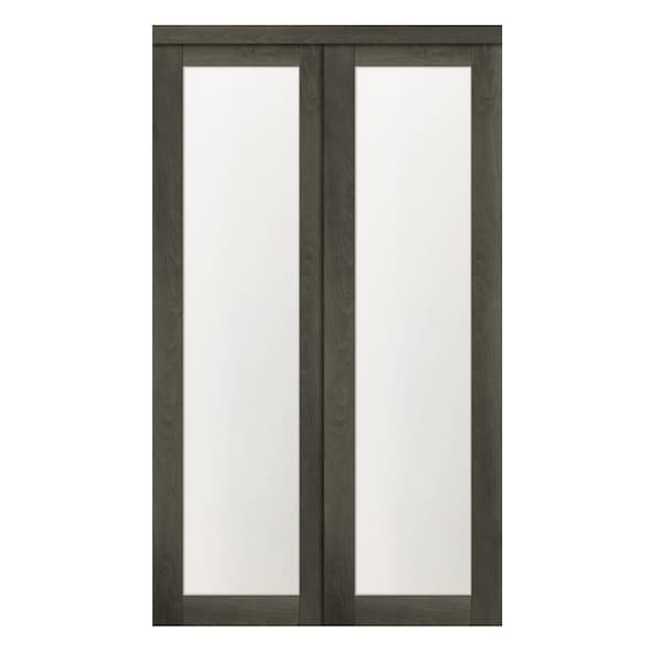 Renin 48 in. x 80 1/2 in. Euro 1-Lite Bypass Door Iron Age EU2450IAFGE048080 - main